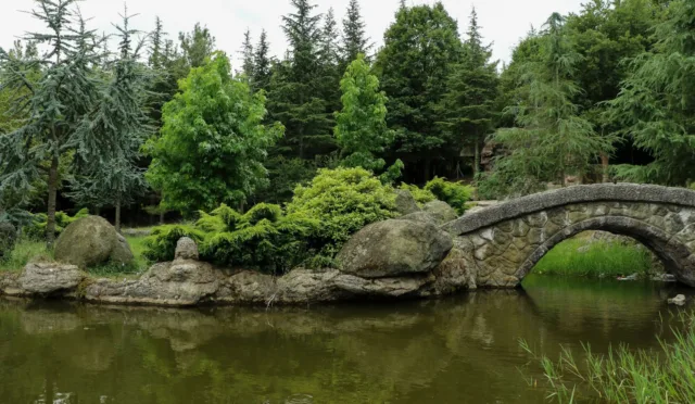 Bayraktepe Tabiat Parkı – Samsun fotoğrafı