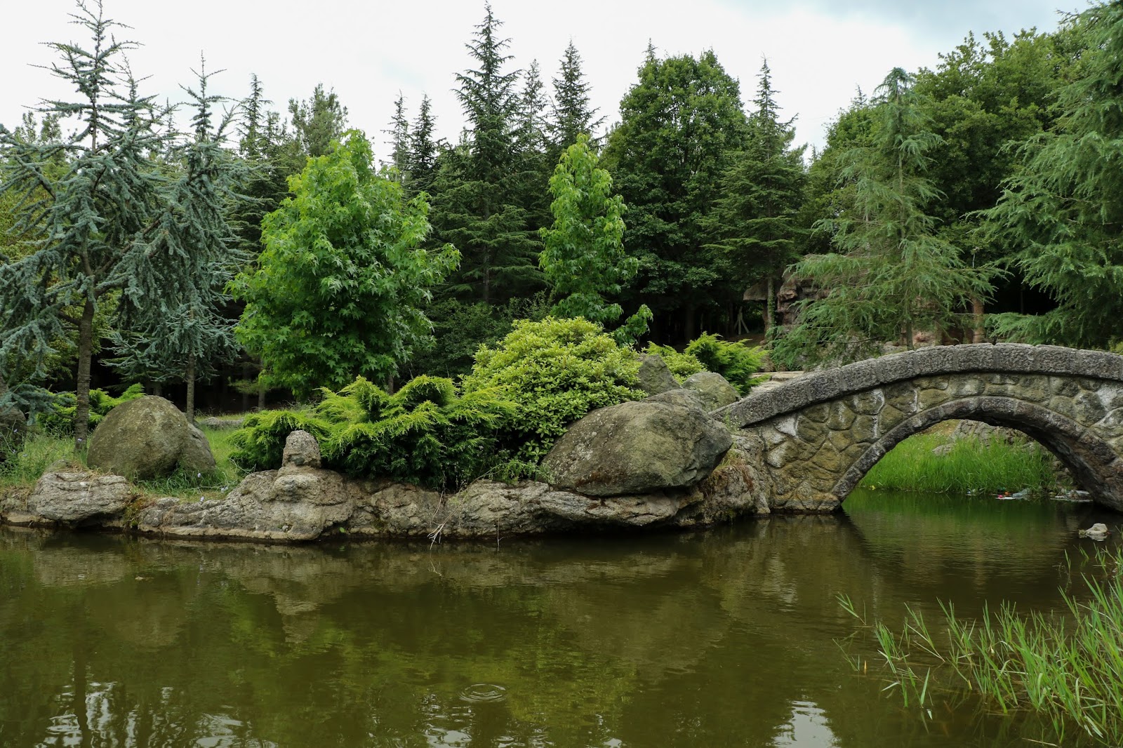 Samsun