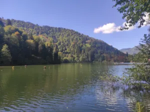 Borçka Karagöl Tabiat Parkı