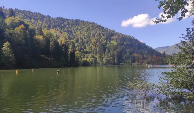 Borçka Karagöl Tabiat Parkı – Artvin fotoğrafı