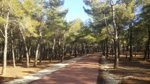 Burç Tabiat Parkı