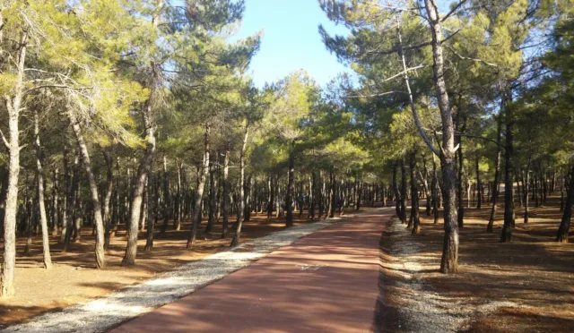 Burç Tabiat Parkı – Gaziantep fotoğrafı