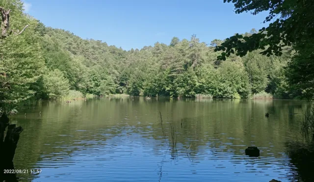 Büyük Dipsiz Göl – Yalova fotoğrafı