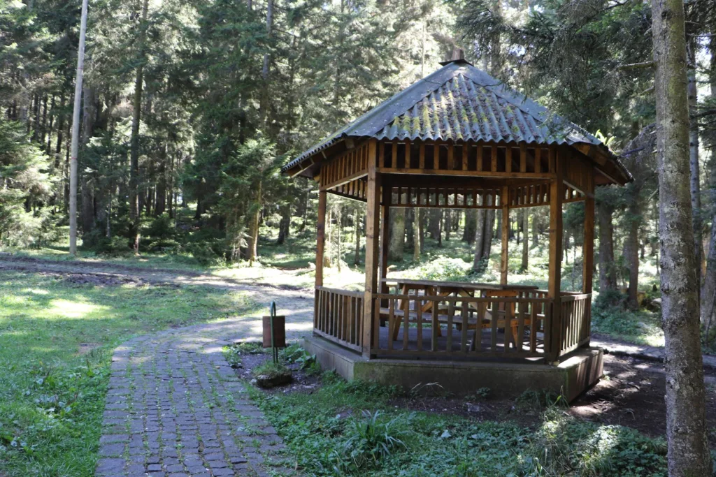 Çalcamili Tabiat Parkı – Trabzon
