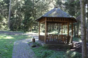 Çalcamili Tabiat Parkı
