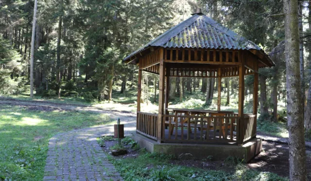 Çalcamili Tabiat Parkı – Trabzon fotoğrafı