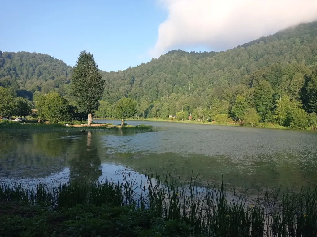 Çamlıca Gölü – Sakarya