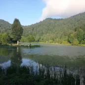 Çamlıca Gölü – Sakarya