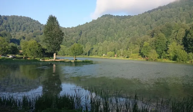 Çamlıca Gölü – Sakarya fotoğrafı