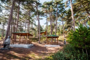Çamlıca Tabiat Parkı