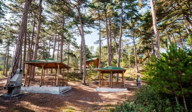 Çamlıca Tabiat Parkı – Kütahya fotoğrafı