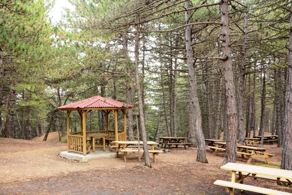 Çatak Tabiat Parkı – Çorum