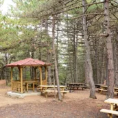 Çatak Tabiat Parkı