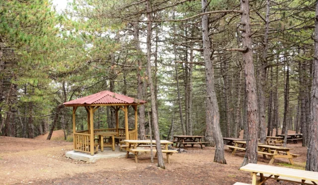 Çatak Tabiat Parkı – Çorum fotoğrafı