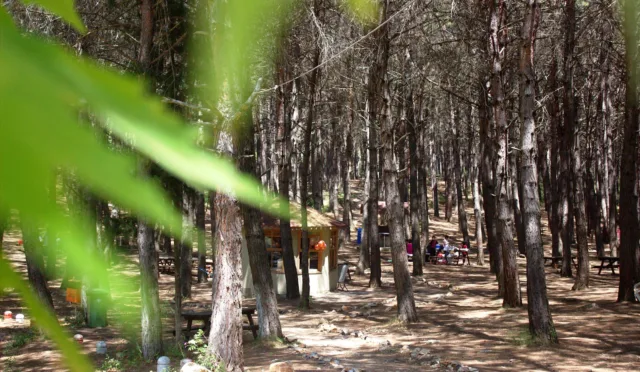 Çiftmazı Tabiat Parkı – Osmaniye fotoğrafı