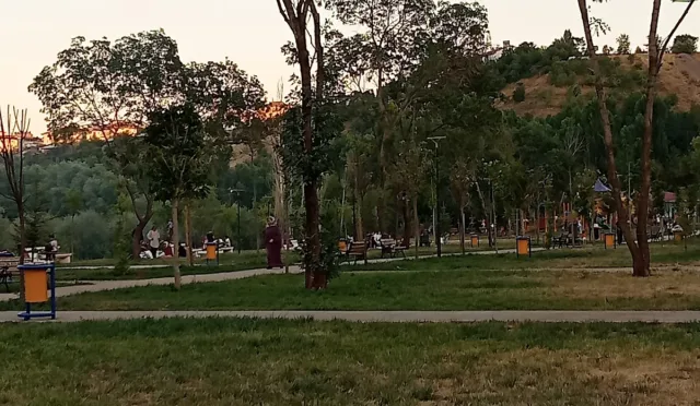 DSİ PARKI – Bingöl fotoğrafı
