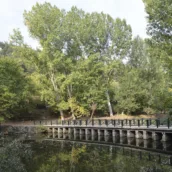 Değirmen Boğazı Tabiat Parkı