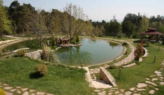 Denizli Büyükşehir Belediyesi Çamlık Parkı – Denizli fotoğrafı