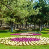Dülükbaba Mesire Alanı