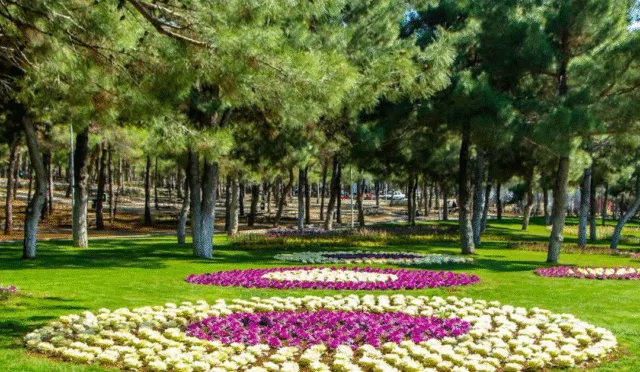 Dülükbaba Mesire Alanı – Gaziantep fotoğrafı