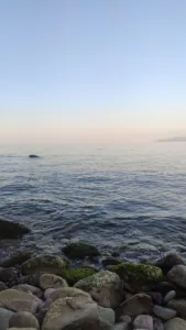 Eriklimam Deliklitaş