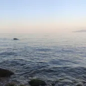 Eriklimam Deliklitaş