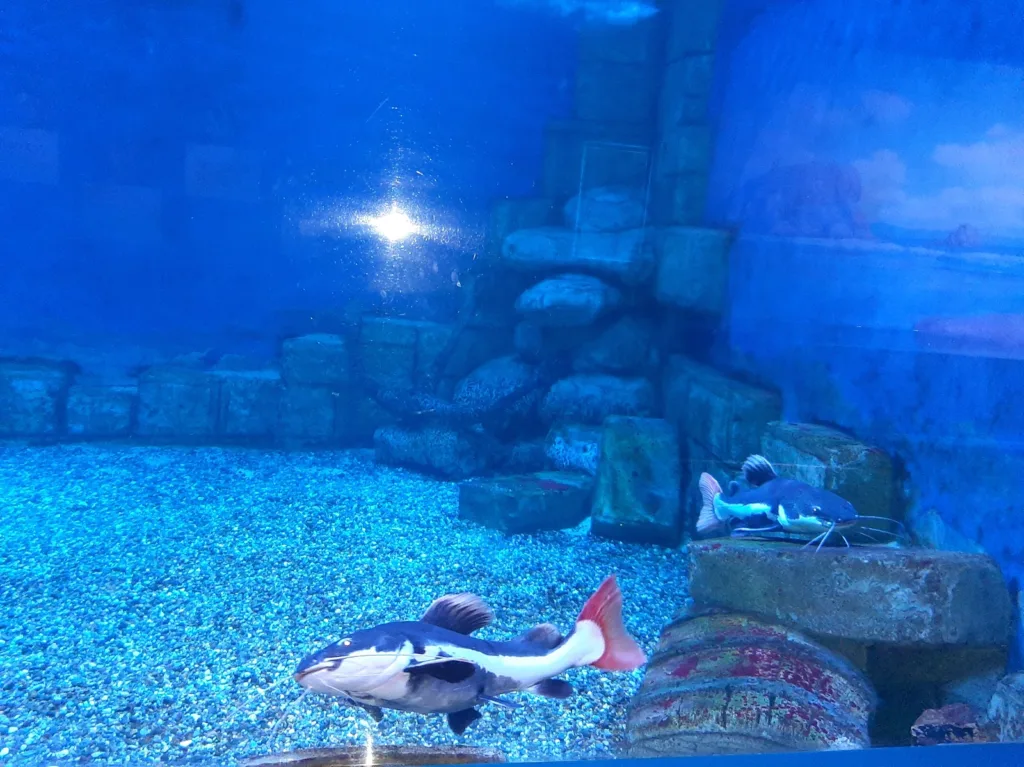 Eskişehir Büyükşehir Belediyesi ETİ Sualtı Dünyası – Eskişehir