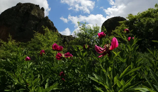 Gelin Kayasi – Yozgat fotoğrafı