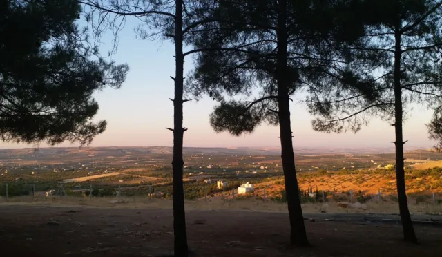 Gölpınar Tabiat Parkı – Şanlıurfa fotoğrafı