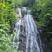 Güzeldere Şelalesi Tabiat Parkı – Düzce