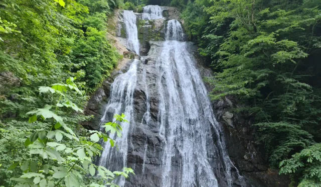 Güzeldere Şelalesi Tabiat Parkı – Düzce fotoğrafı
