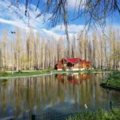 Halis Bayramoğlu Hatıra Ormanı – Bayburt