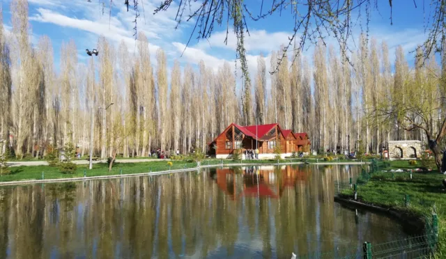 Halis Bayramoğlu Hatıra Ormanı – Bayburt fotoğrafı