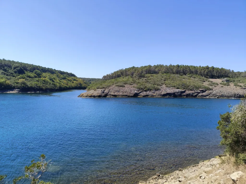 Hamsilos Koyu – Sinop