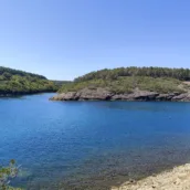 Hamsilos Koyu – Sinop