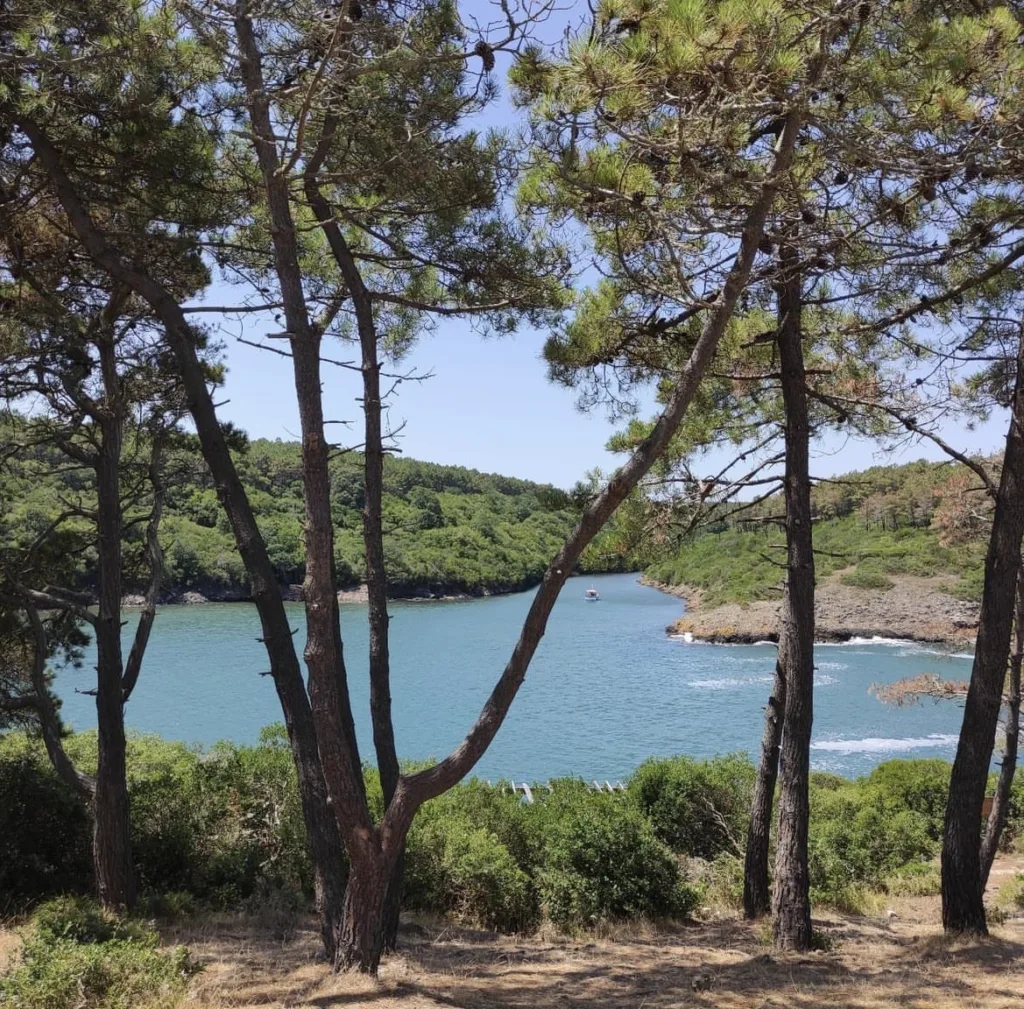 Hamsilos Tabiat Parkı – Sinop