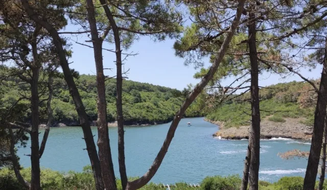 Hamsilos Tabiat Parkı – Sinop fotoğrafı
