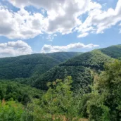 Harmankaya Kanyonu Tabiat Parkı