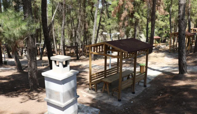 Hisar Çamlığı Tabiat Parkı – Kilis fotoğrafı
