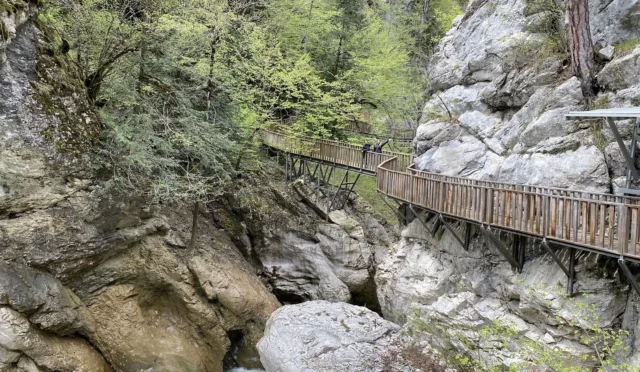 Horma Kanyonu (Küre Dağları Milli Parkı) – Kastamonu fotoğrafı