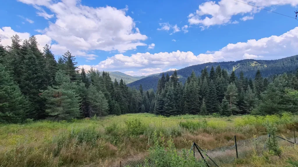 Ilgaz Dağı Milli Parkı – Kastamonu