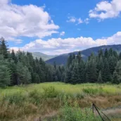 Ilgaz Dağı Milli Parkı