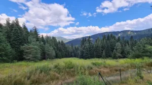 Ilgaz Dağı Milli Parkı