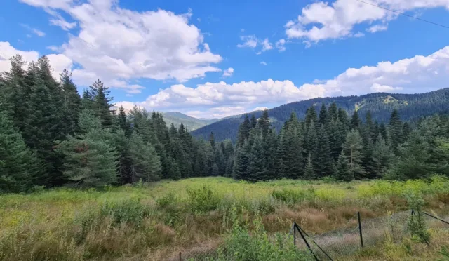 Ilgaz Dağı Milli Parkı – Kastamonu fotoğrafı