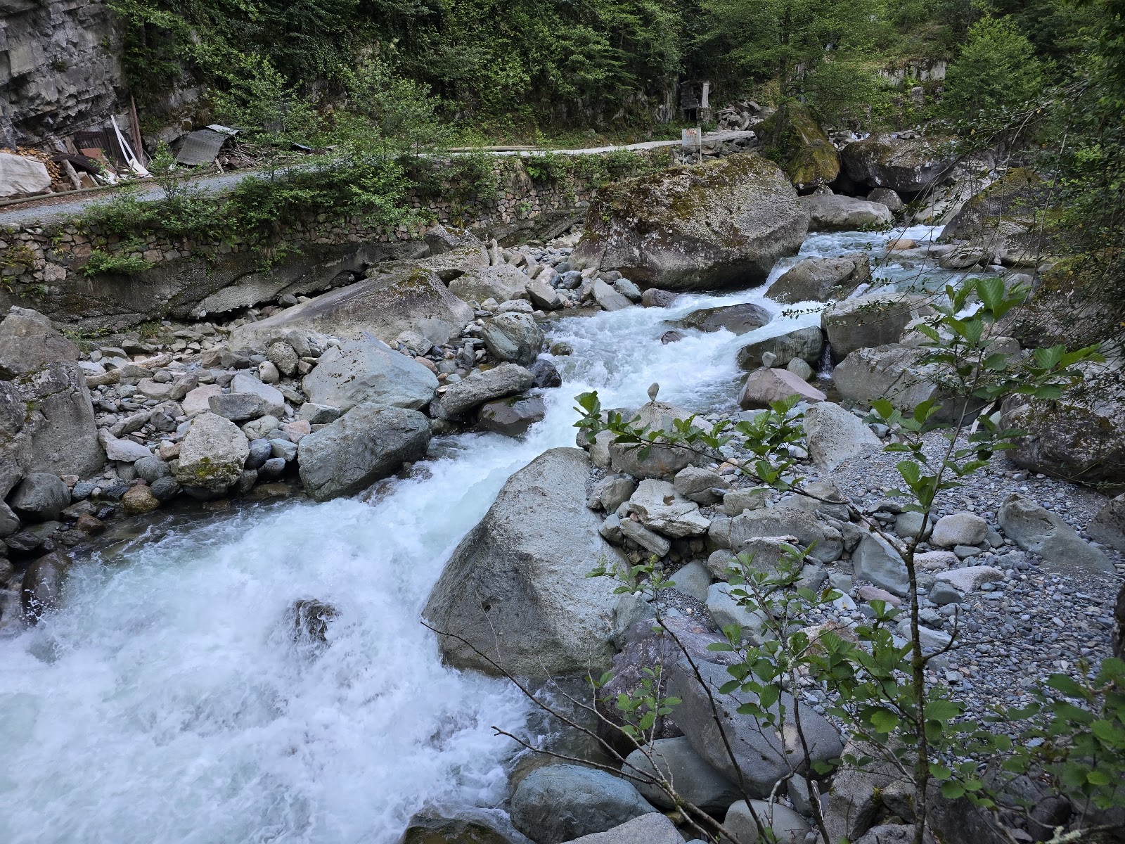 Artvin