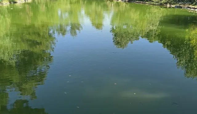 Kapıçam Tabiat Parkı – Kahramanmaraş fotoğrafı