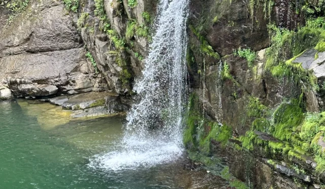 Karaoluk (Çiseli) Şelalesi – Ordu fotoğrafı
