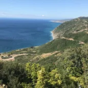 Kartaltepe Tabiat Parkı – Tekirdağ