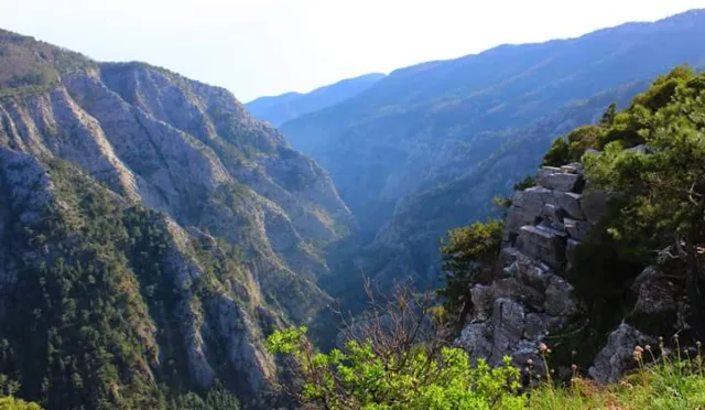 Kazdağı Millî Parkı – Balıkesir fotoğrafı