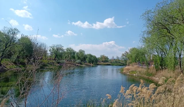 Kırıkkale Millet Bahçesi – Kırıkkale fotoğrafı